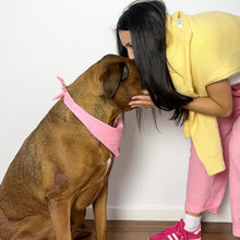 Load image into Gallery viewer, Dog Bandana - Pink Stripe
