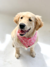 Load image into Gallery viewer, Dog Bandana - Pink Fern
