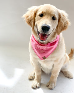 Dog Bandana - Pink Embroidery