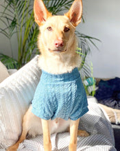 Load image into Gallery viewer, Dog Jumper - Teal Cable
