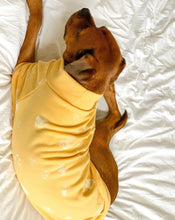 Load image into Gallery viewer, Dog Jumper - Yellow
